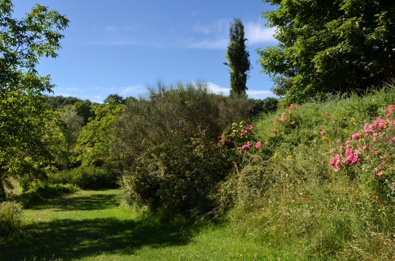Agriturismo Villa Mozart Nel Verde Γκούμπιο Εξωτερικό φωτογραφία