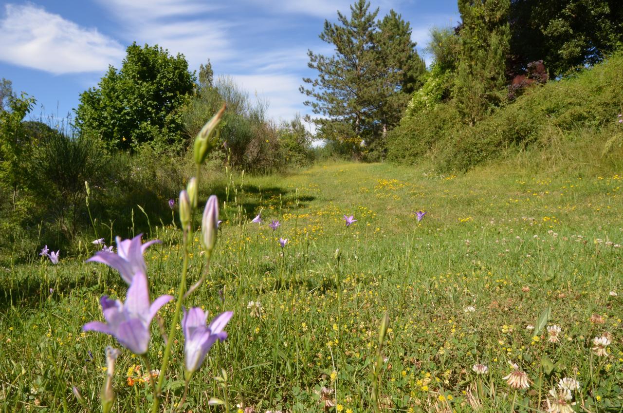 Agriturismo Villa Mozart Nel Verde Γκούμπιο Εξωτερικό φωτογραφία