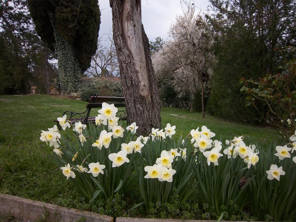Agriturismo Villa Mozart Nel Verde Γκούμπιο Εξωτερικό φωτογραφία