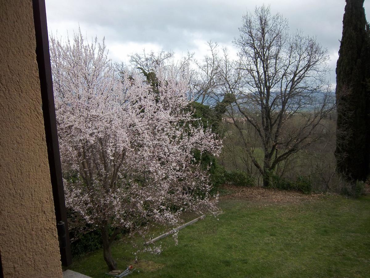 Agriturismo Villa Mozart Nel Verde Γκούμπιο Εξωτερικό φωτογραφία