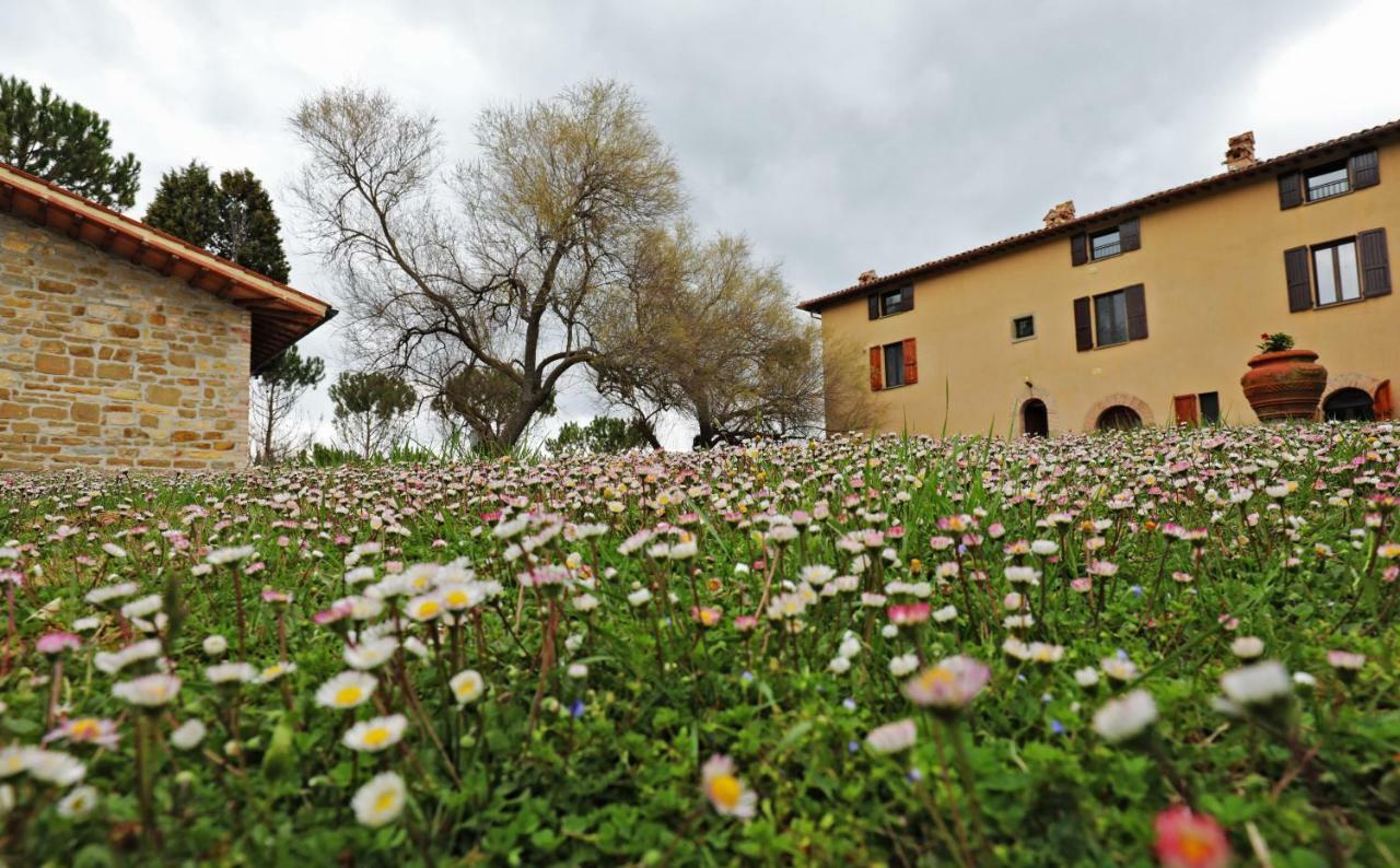 Agriturismo Villa Mozart Nel Verde Γκούμπιο Εξωτερικό φωτογραφία